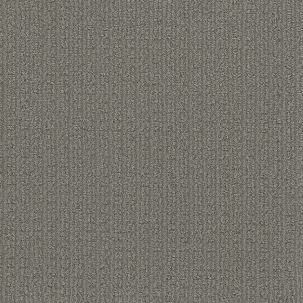 Dreamweaver Carpet Picture Perfect Blissfield Carpet 6435_2395