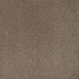 Dreamweaver Carpet Serene II Cinnabar Carpet 7150_2188