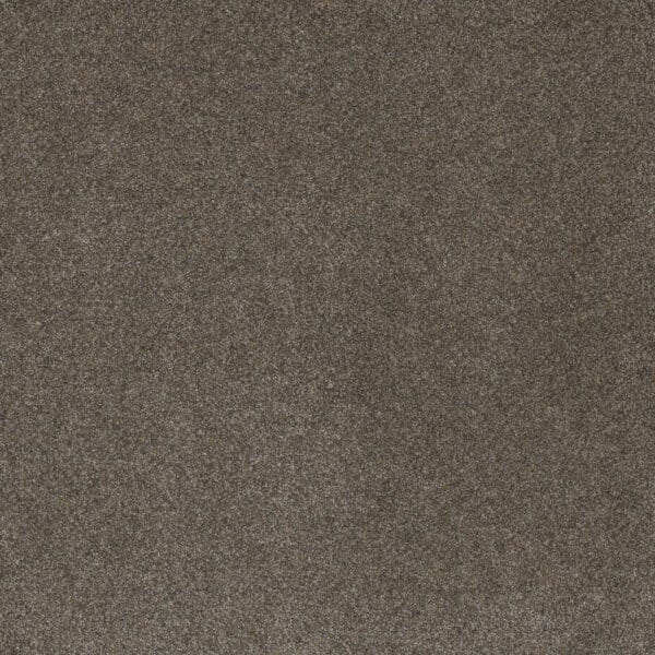 Dreamweaver Carpet Serene III Mulberry Carpet 7165_2217