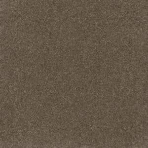 Dreamweaver Carpet Serene II Walnut Grove Carpet 7150_2223