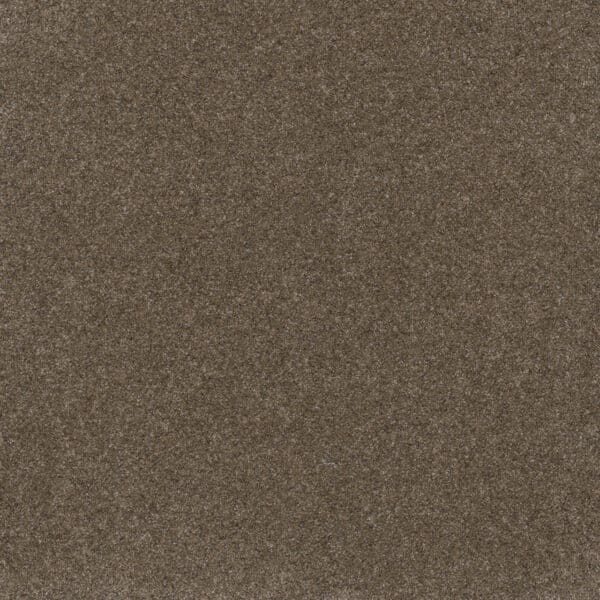 Dreamweaver Carpet Serene III Walnut Grove Carpet 7165_2223