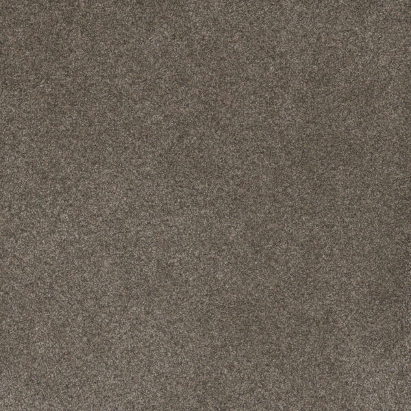 Dreamweaver Carpet Serene II Ridgeview Carpet 7150_2245