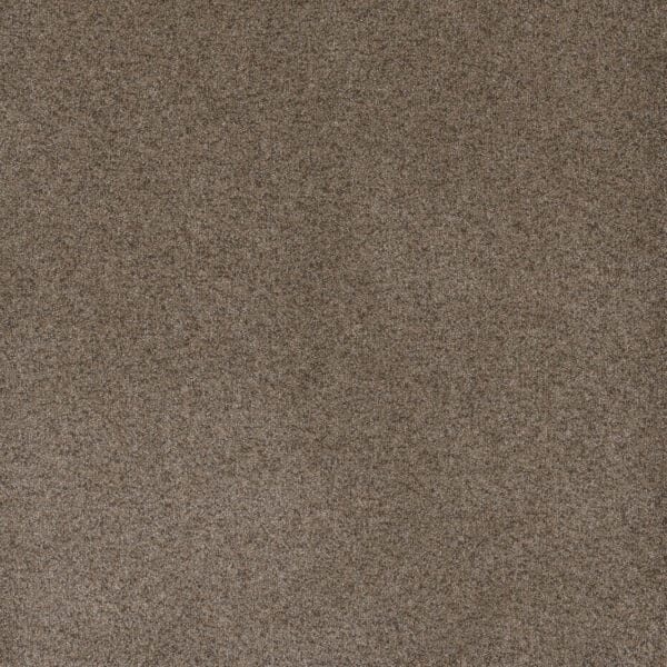 Dreamweaver Carpet Serene II Shellbark Carpet 7150_2251