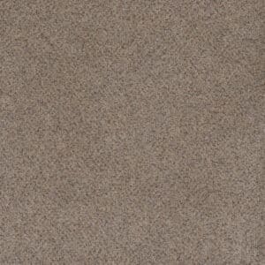 Dreamweaver Carpet Serene II Shining Star Carpet 7150_2292