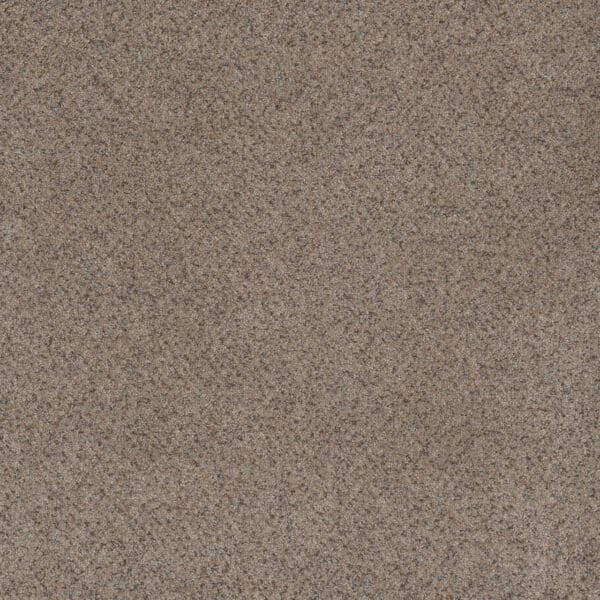 Dreamweaver Carpet Serene II Shining Star Carpet 7150_2292