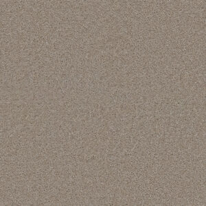Dreamweaver Carpet Exceptional II Cameo Carpet 7404_174