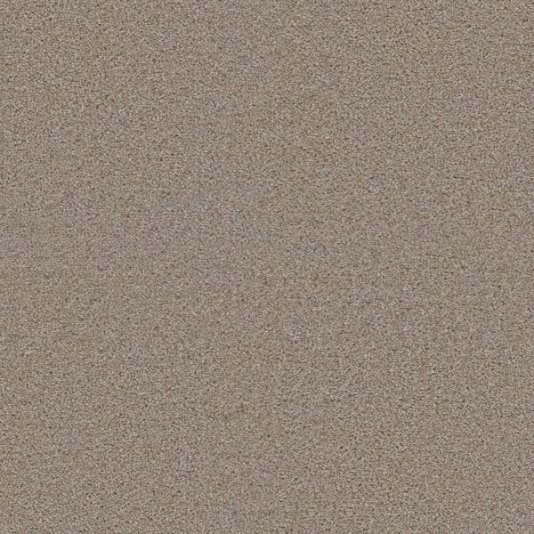 Dreamweaver Carpet Exceptional II Cameo Carpet 7404_174