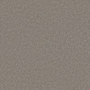 Dreamweaver Carpet Exceptional II Clam Shell Carpet 7404_182