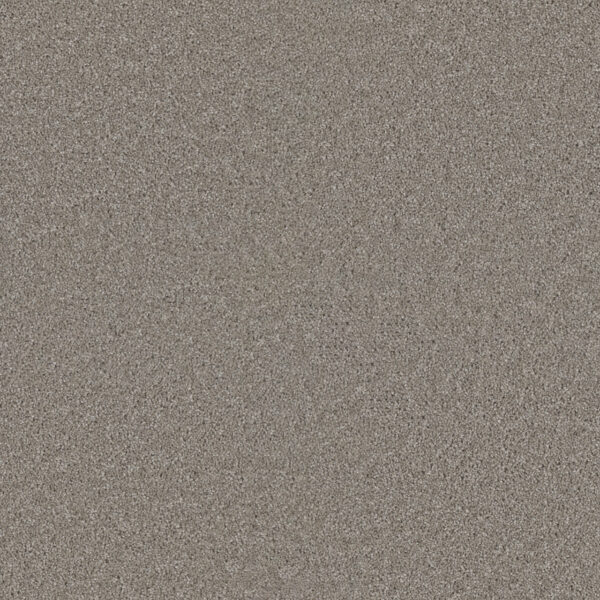 Dreamweaver Carpet Exceptional II Clam Shell Carpet 7404_182