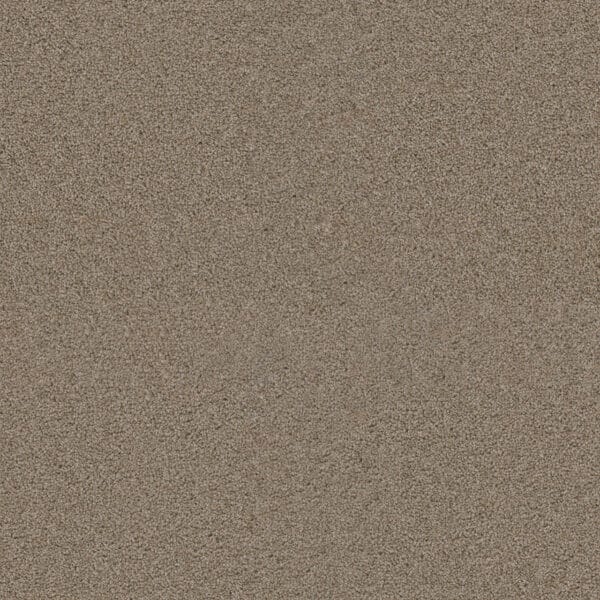Dreamweaver Carpet Exceptional II Iced Coffee Carpet 7404_373