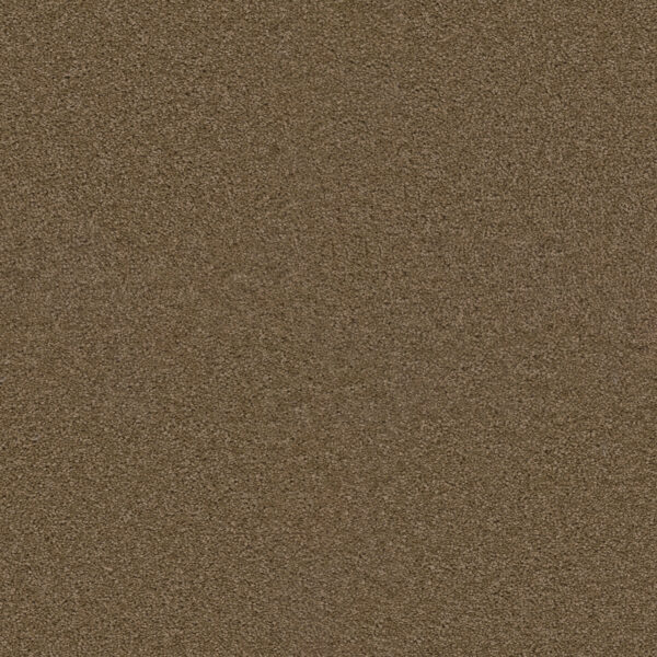 Dreamweaver Carpet Exceptional II Sable Carpet 7404_510