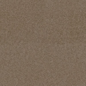Dreamweaver Carpet Exceptional II Doeskin Carpet 7404_530