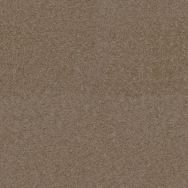 Dreamweaver Carpet Exceptional II Doeskin Carpet 7404_530