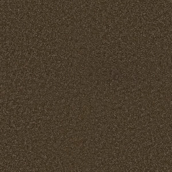 Dreamweaver Carpet Exceptional II Black Walnut Carpet 7404_540