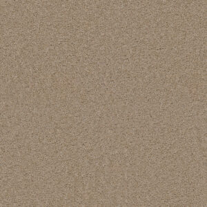 Dreamweaver Carpet Exceptional II Cashmere Carpet 7404_580