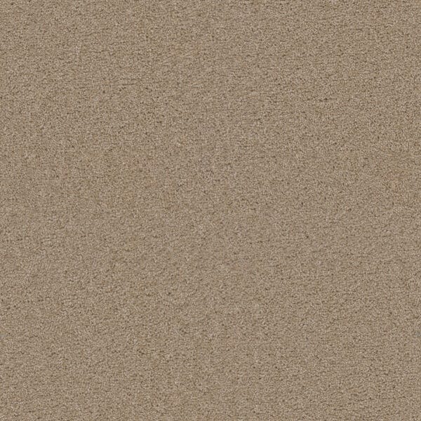 Dreamweaver Carpet Exceptional II Cashmere Carpet 7404_580