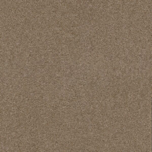 Dreamweaver Carpet Exceptional II Sawgrass Carpet 7404_701