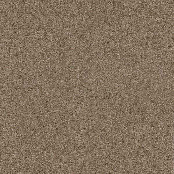 Dreamweaver Carpet Exceptional II Sawgrass Carpet 7404_701