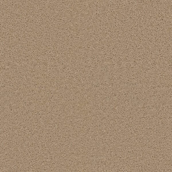 Dreamweaver Carpet Exceptional II Cookie Dough Carpet 7404_705