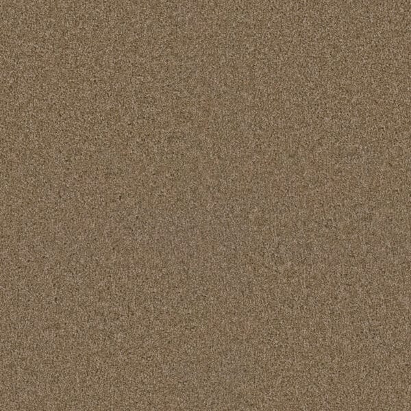 Dreamweaver Carpet Exceptional II Buff Carpet 7404_720