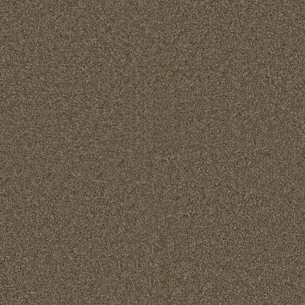 Dreamweaver Carpet Exceptional II Dove Carpet 7404_725