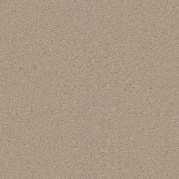 Dreamweaver Carpet Exceptional II Eggshell Carpet 7404_730