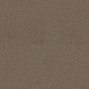 Dreamweaver Carpet Exceptional II Tigris Carpet 7404_770