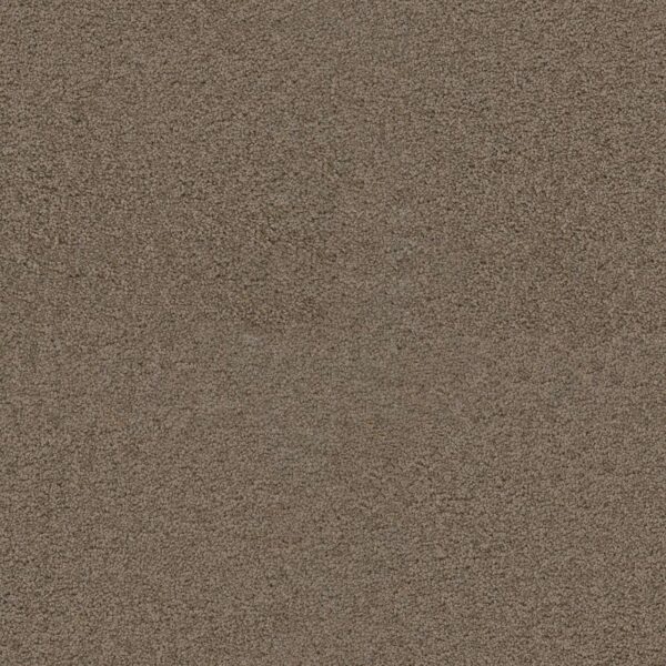 Dreamweaver Carpet Exceptional II Tigris Carpet 7404_770