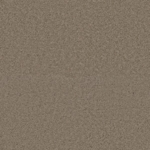 Dreamweaver Carpet Exceptional II Hazlenut Cream Carpet 7404_775