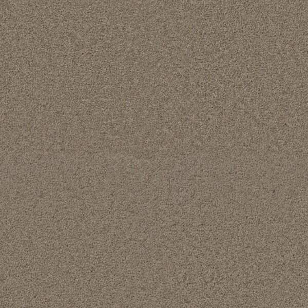 Dreamweaver Carpet Exceptional II Hazlenut Cream Carpet 7404_775
