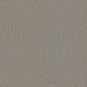 Dreamweaver Carpet Exceptional II Silver Birch Carpet 7404_800