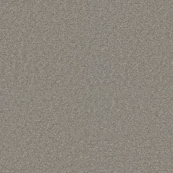 Dreamweaver Carpet Exceptional II Silver Birch Carpet 7404_800