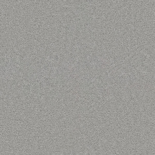 Dreamweaver Carpet Exceptional II Morning Fog Carpet 7404_813