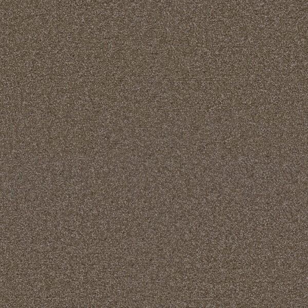 Dreamweaver Carpet Exceptional II Tumbleweed Carpet 7404_829