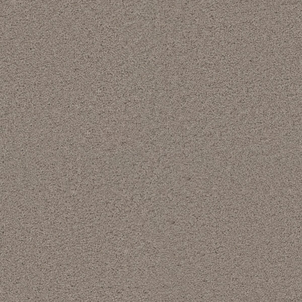 Dreamweaver Carpet Exceptional II Mineral Carpet 7404_850