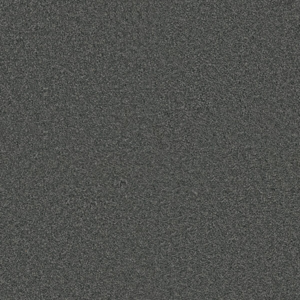 Dreamweaver Carpet Exceptional II Steel Grey Carpet 7404_890
