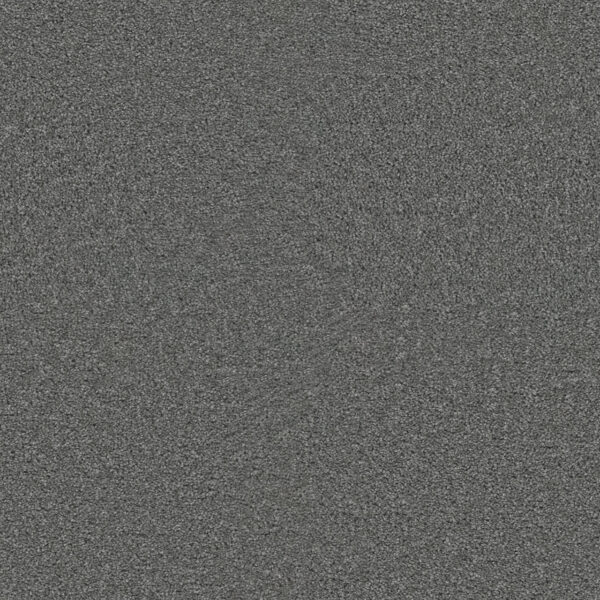 Dreamweaver Carpet Exceptional II Stellar Carpet 7404_938