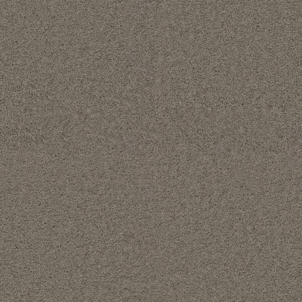 Dreamweaver Carpet Exceptional II Castle Carpet 7404_945