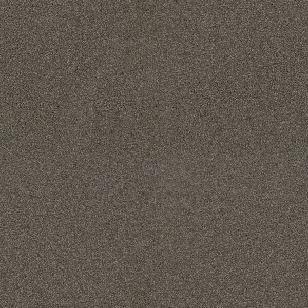 Dreamweaver Carpet Exceptional II Riverbed Carpet 7404_955