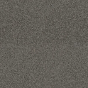 Dreamweaver Carpet Exceptional II Bayside Carpet 7404_956