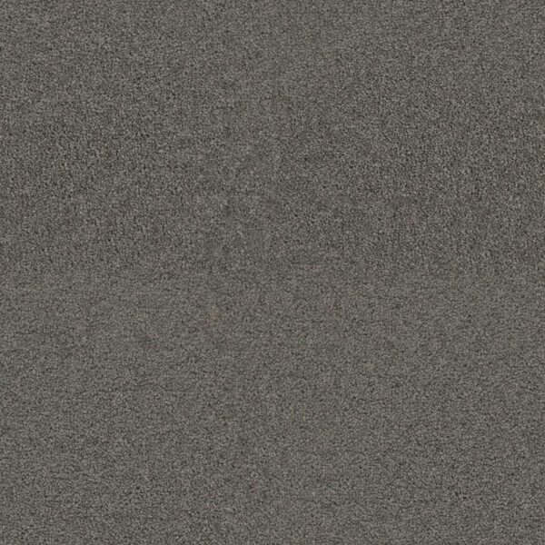 Dreamweaver Carpet Exceptional II Bayside Carpet 7404_956