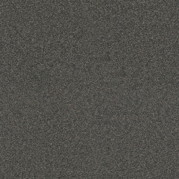 Dreamweaver Carpet Exceptional II Electron Carpet 7404_972