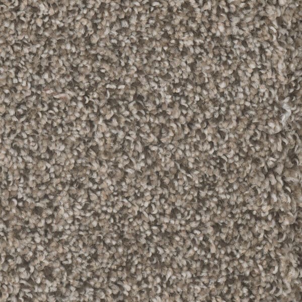 Dreamweaver Carpet Jackson Hole I Deep Thistle Carpet 7543_107