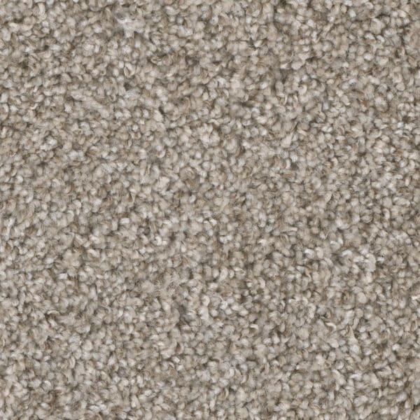 Dreamweaver Carpet Jackson Hole II Sierra Lace Carpet 7560_108