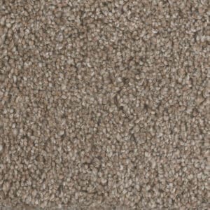 Dreamweaver Carpet Jackson Hole I Prairie Sun Carpet 7543_113