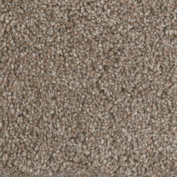 Dreamweaver Carpet Jackson Hole I Prairie Sun Carpet 7543_113