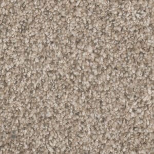 Dreamweaver Carpet Jackson Hole I Sunglow Carpet 7543_117