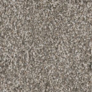 Dreamweaver Carpet Jackson Hole I Edgewood Carpet 7543_138