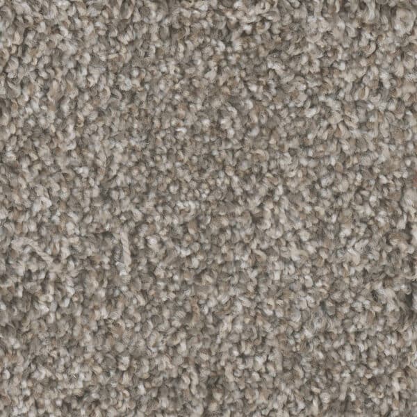 Dreamweaver Carpet Jackson Hole I Edgewood Carpet 7543_138