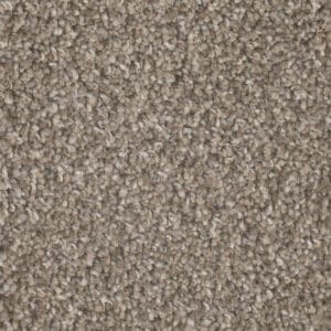 Dreamweaver Carpet Jackson Hole I Campground Carpet 7543_145